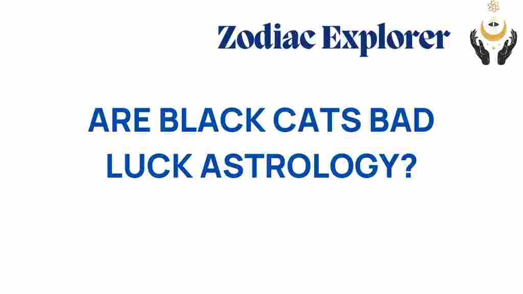black-cats-bad-luck-astrology