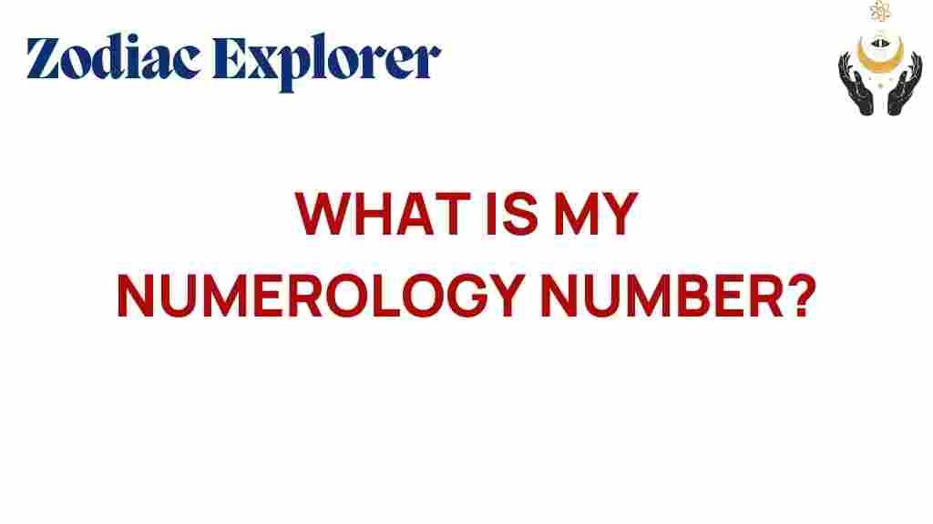 what-is-my-numerology-number